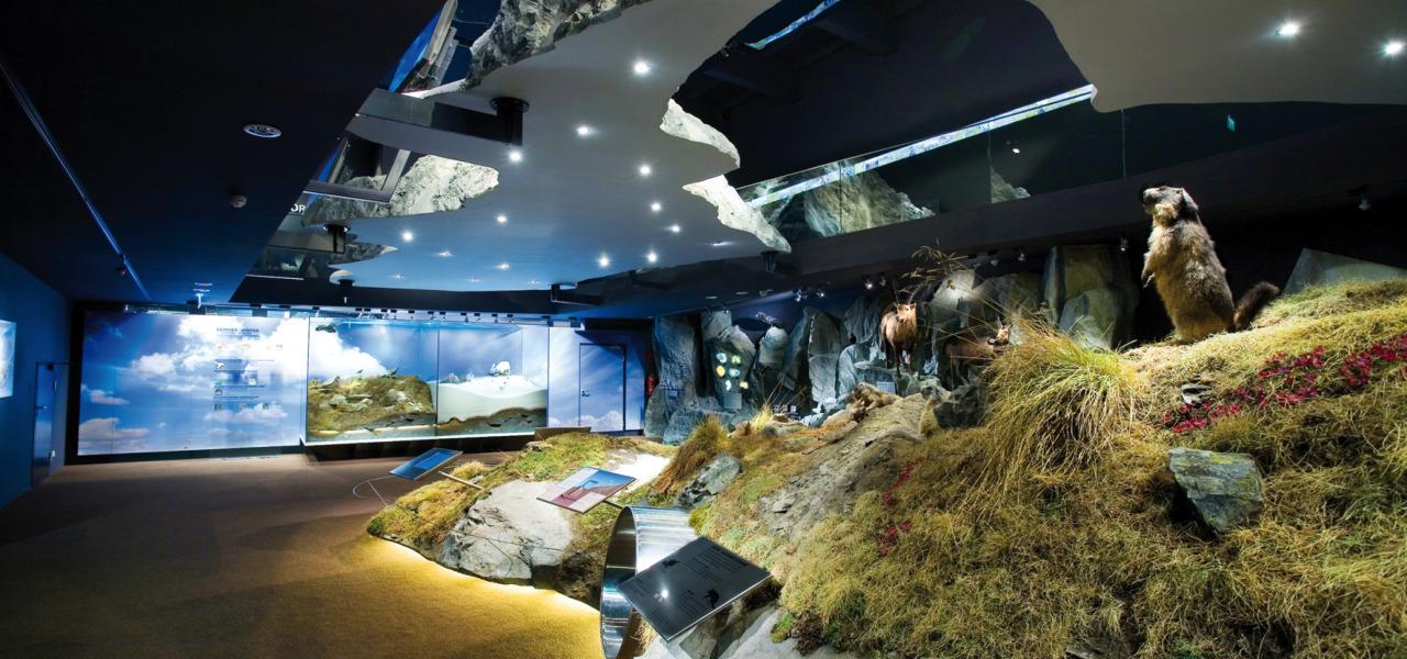 Zell am See Kaprun Karte 