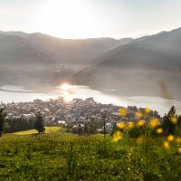 20250620_Sommer_Blick_Zell_am_See_View_at_Zell_am_See_004_(c)Zell-am-See-Kaprun_JOE.b90c1fe8_original