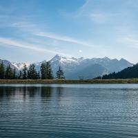 20250618_Sommer_Plettsaukopf_Summer_Plettsaukopf_quer_001_(c)Zell-am-See-Kaprun_JOE.7170aab3_original