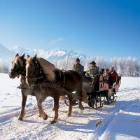 2803-winter-pferdeschlitten-amiamo-kinderhotel-2013-11-11-ORG