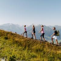 Eine vierköpfige Familie wandert bei strahlendem Sonnenschein entlang eines alpinen Wiesenhangs. Im Hintergrund türmen sich majestätische Berggipfel unter klarem Himmel. Die Szenerie strahlt Aktivität, Naturerlebnis und Sommerfreude aus – ideal für Outdoor-Fans.