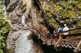 Herbstgenuss im Amiamo