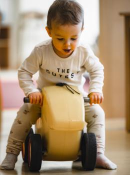 Zwergensache0114 Zwergensache0114