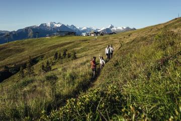 Herbstwanderung auf der Schlittenhöhe