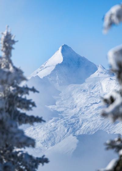 12039-Winter-Kitz-Baeume-schneebedeckt 12039-Winter-Kitz-Baeume-schneebedeckt