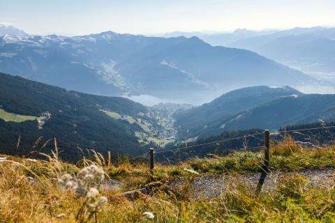 Blick auf Zell am See im Herbst