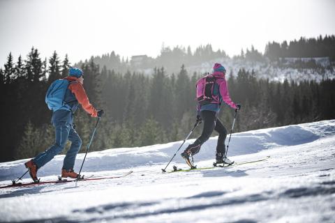 skitour-auf-den-maiskogel-skitour-am-maiskogel-c-klaus-listl-2-.8c56034d_original skitour-auf-den-maiskogel-skitour-am-maiskogel-c-klaus-listl-2-.8c56034d_original