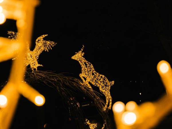 Lumagica in Zell am See