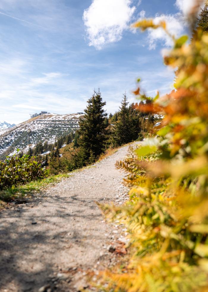 Wanderung auf der Schmittenh&ouml;he
