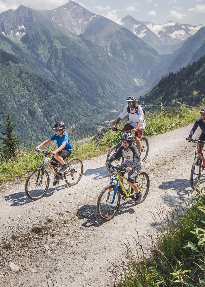 Eine vierköpfige Familie fährt mit dem Fahrrad auf einem Schotterweg durch die beeindruckende Alpenlandschaft. Umgeben von majestätischen Bergen, grünen Tälern und dichten Wäldern genießen sie die frische Bergluft und das atemberaubende Panorama. Perfekt für Outdoor-Abenteuer und Naturerlebnisse.