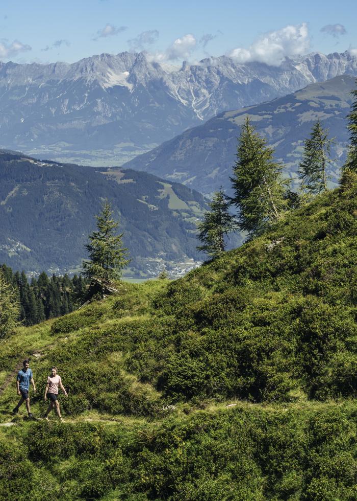 Wanderung am Kitzsteinhorn - Hiking at the Kitzsteinhorn_3 (c) Zell am See-Kaprun Tourismu.b48f8f97_original